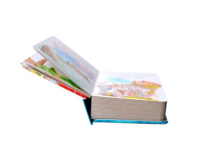 Children Bible Book Printing