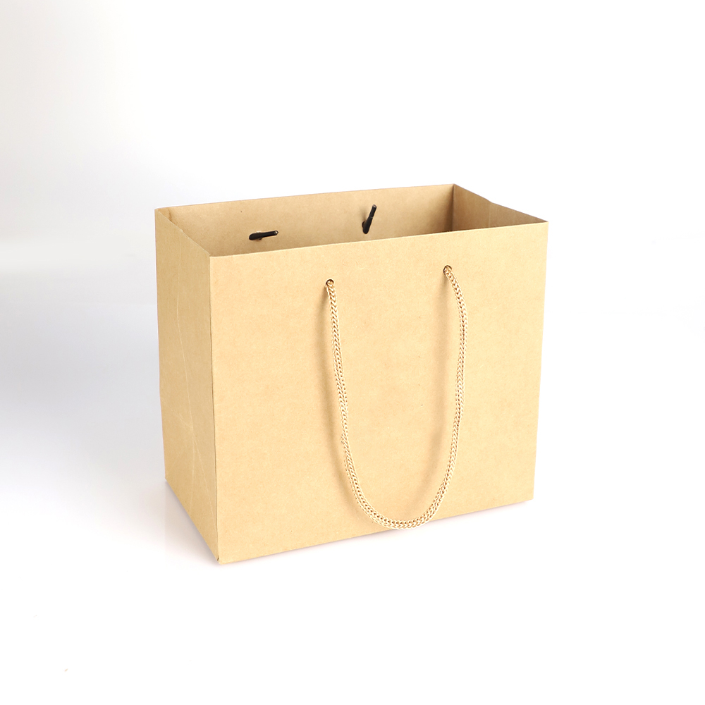 Green Paper Bag