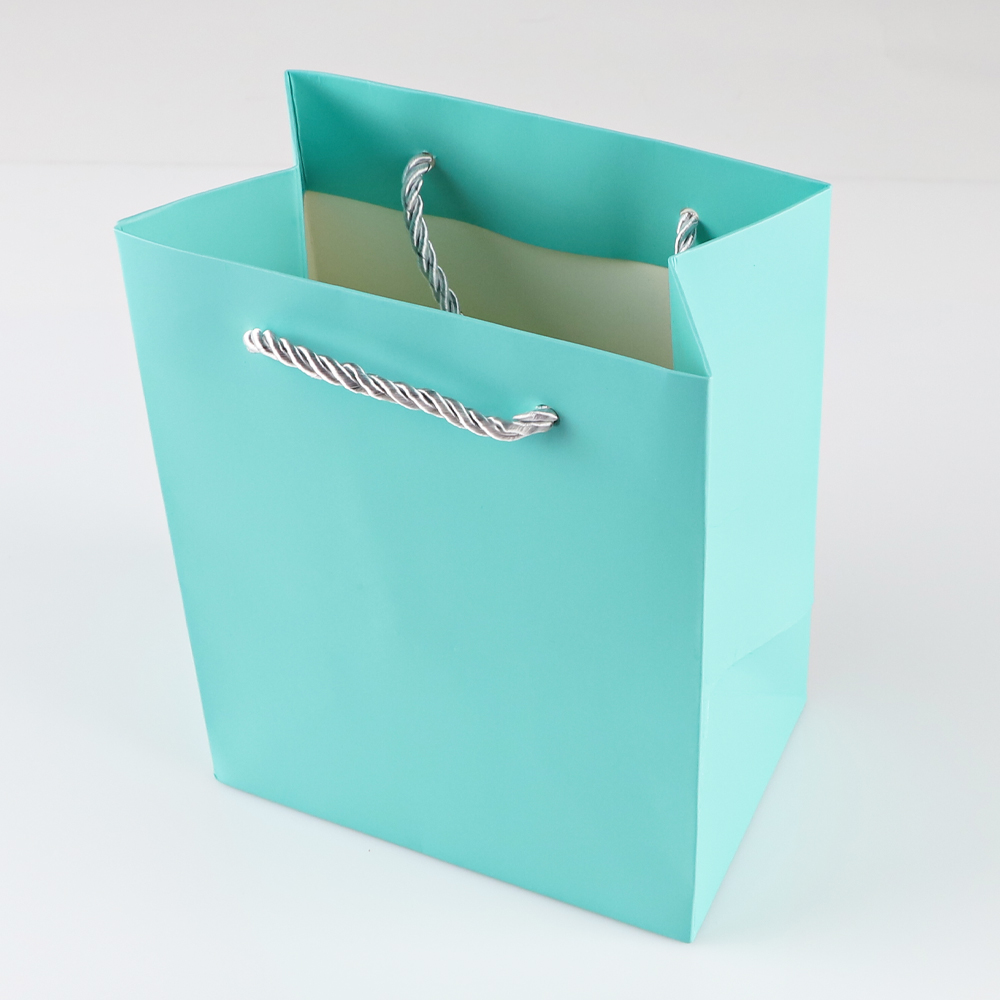 Green Paper Bag