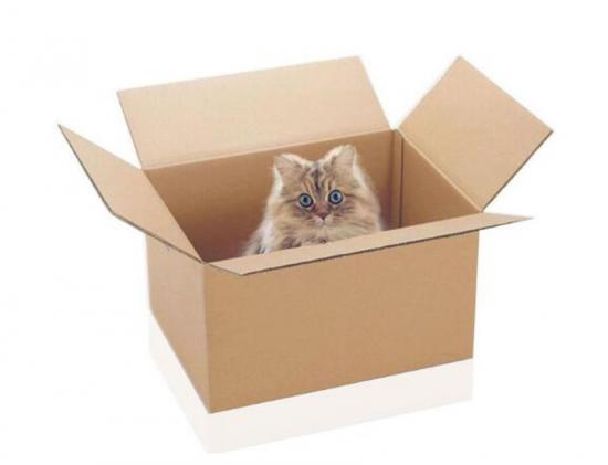 Shipping Moving Box