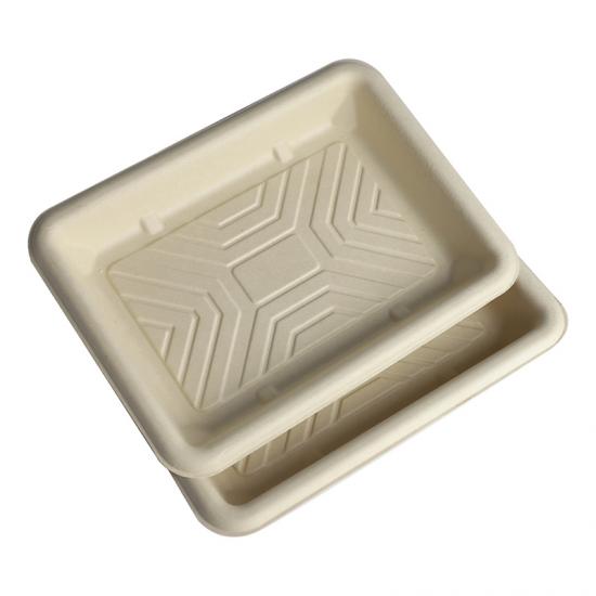 Bagasse Packaging