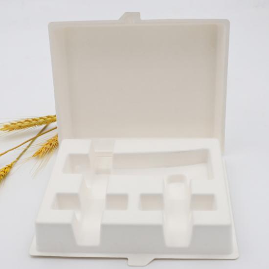 Bagasse Packaging