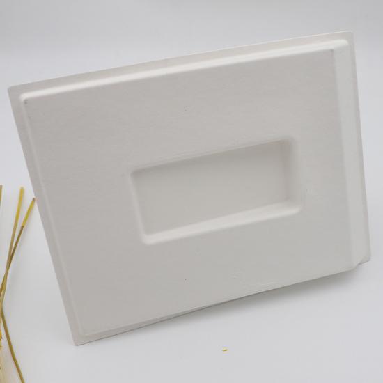 Bagasse Packaging